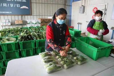 滬上首張食用農(nóng)產(chǎn)品合格證書(shū)開(kāi)出:開(kāi)證的不是別人,而是生產(chǎn)者自己