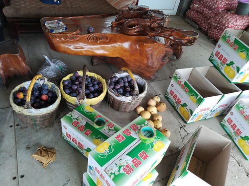 海淀區(qū)農(nóng)委完成中秋國(guó)慶期間 種植業(yè)食用農(nóng)產(chǎn)品農(nóng)藥殘留抽檢工作